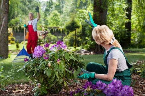 Elegant Landscaping Purley scene with attractive outdoor layout and year-round appeal