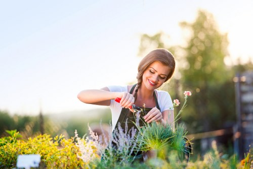 Garden design and build project with patio and planting in Purley