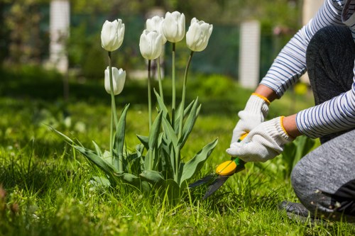 Landscaping team working ethically in a Purley garden