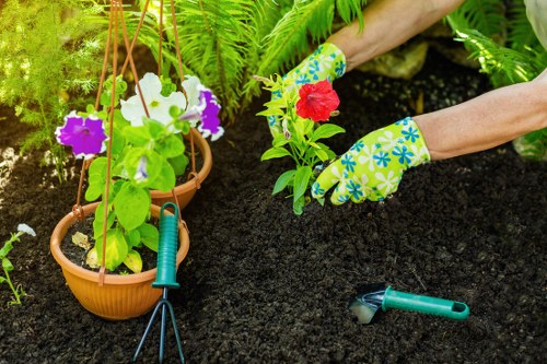 Soft landscaping with fresh turf, shrubs, and border planting in Purley