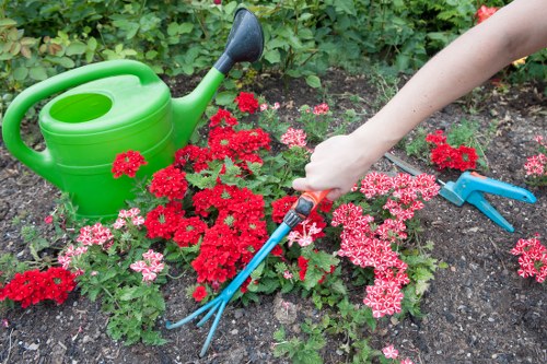 Local landscaping team planning a Purley garden layout
