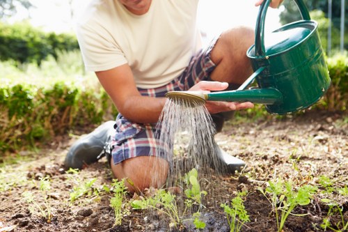Fresh lawn and planting features in a residential Purley back garden