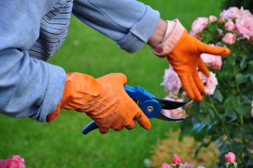 Inspection of a garden landscaping concern with notes and plans