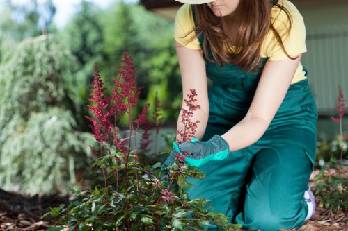 Drainage improvements for a local patio and garden