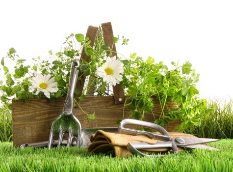 Low-maintenance composite decking suitable for residential and commercial use in Purley